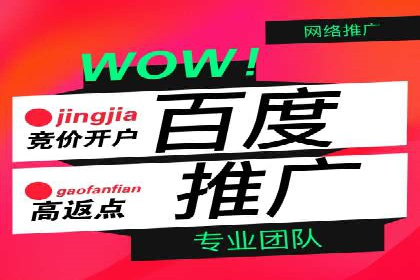 百度SEO与广告结合的多元化推广策略——多行业成功案例